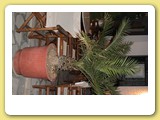 naxos 10 2003 079